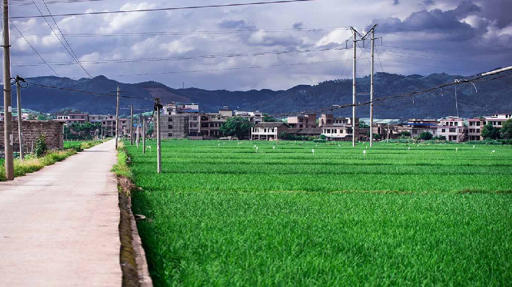 资阳市内蒙古乡村沃畉农业服务购入…